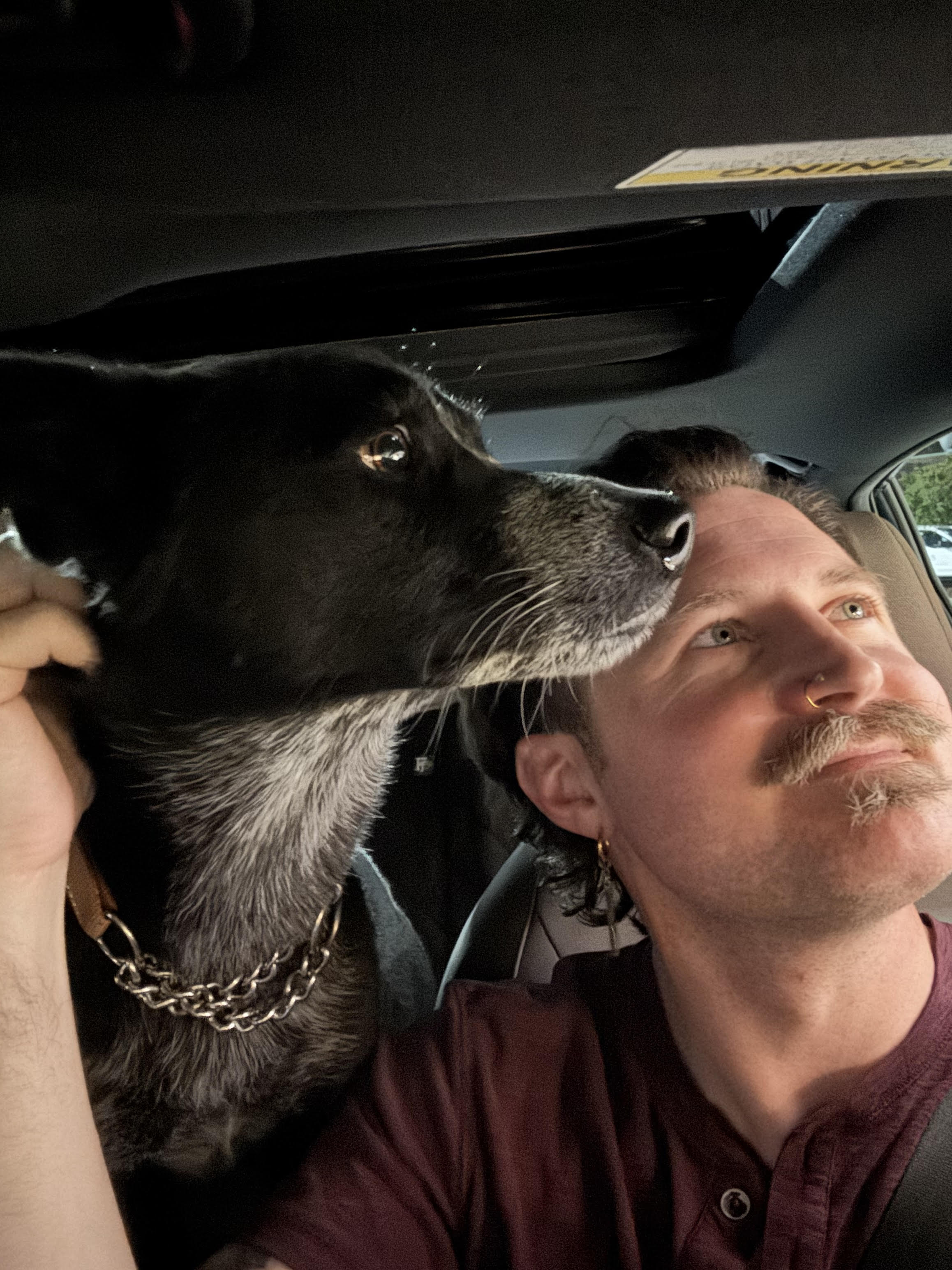 William A Soprano with Olimar dog in North Carolina
